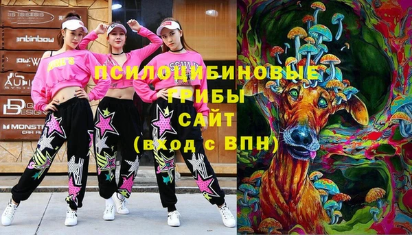 МДПВ Дубовка
