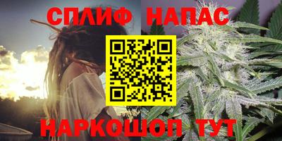 гашик Изобильный