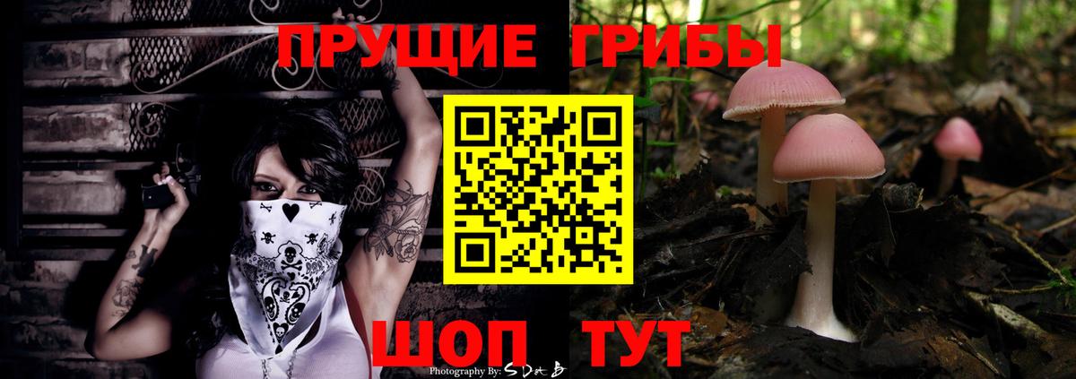 Галлюциногенные грибы Psilocybe  Вход с VPN  Галлюциногенные грибы мухоморы  Ржев 